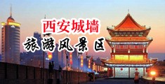 啊，啊，啊，好爽，好舒服，快点视频中国陕西-西安城墙旅游风景区
